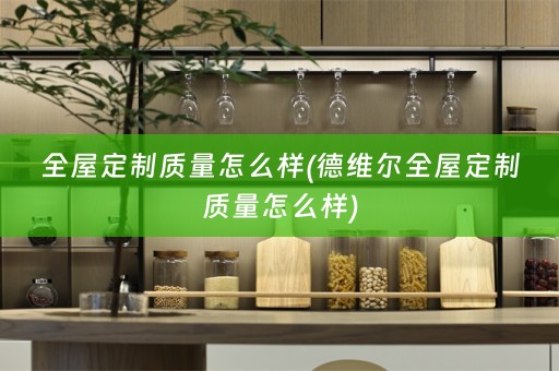 质量怎么样)