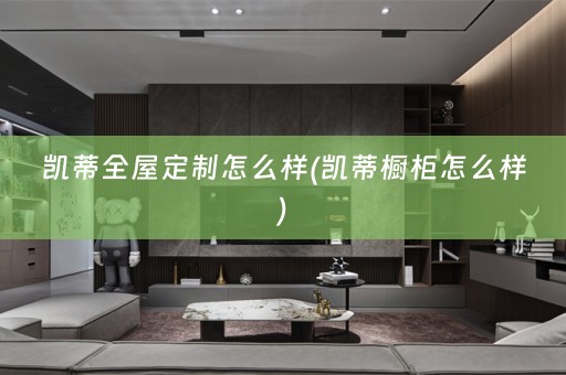 凯蒂怎么样(凯蒂橱柜怎么样)