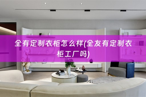 全有定制衣柜怎么样(全友有定制衣柜工厂吗)