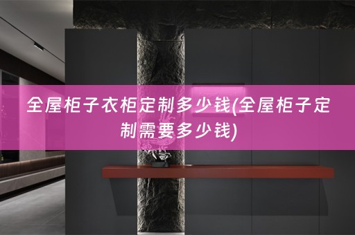全屋柜子衣柜定制多少钱(全屋柜子定制需要多少钱)