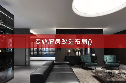 专业旧房改造布局()