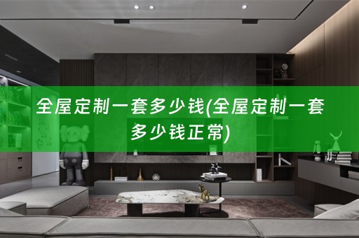 一套多少钱正常)