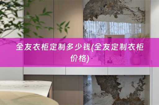 全友衣柜定制多少钱(全友定制衣柜价格)