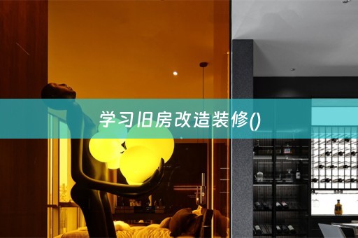 学习旧房改造装修()