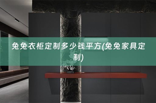 兔兔衣柜定制多少钱平方(兔兔家具定制)
