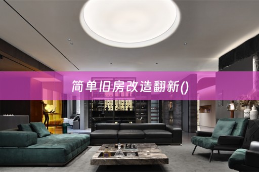 简单旧房改造翻新()