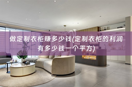 做定制衣柜赚多少钱(定制衣柜的利润有多少钱一个平方)