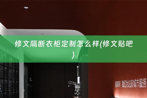 修文隔断衣柜定制怎么样(修文贴吧)