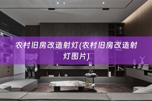 农村旧房改造射灯(农村旧房改造射灯图片)