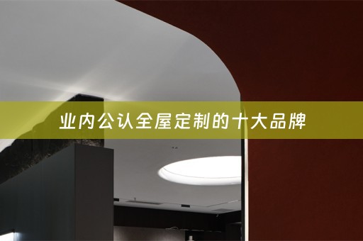 业内公认的十大品牌