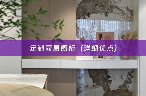 定制简易橱柜（详细优点）