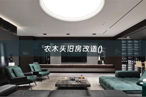 农木头旧房改造()