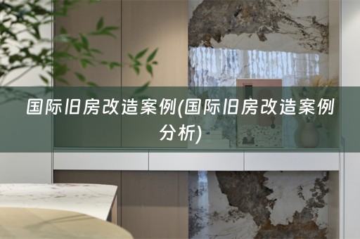 国际旧房改造案例(国际旧房改造案例分析)