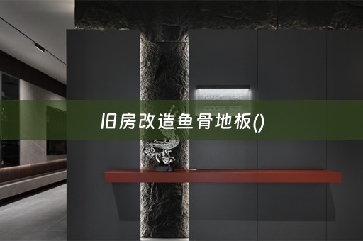 旧房改造鱼骨地板()