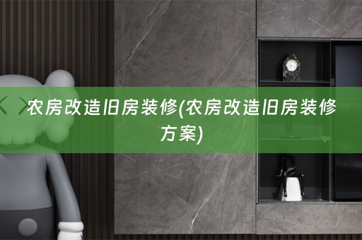 农房改造旧房装修(农房改造旧房装修方案)