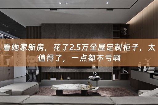 看她家新房，花了2.5万柜子，太值得了，一点都不亏啊