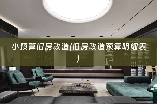 小预算旧房改造(旧房改造预算明细表)