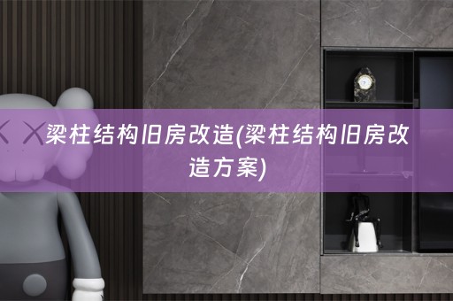 梁柱结构旧房改造(梁柱结构旧房改造方案)
