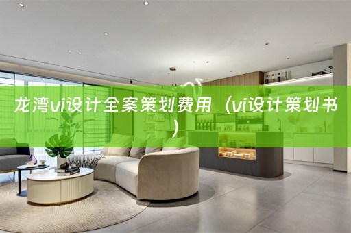 龙湾vi设计全案策划费用（vi设计策划书）