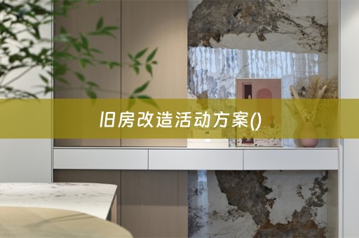 旧房改造活动方案()