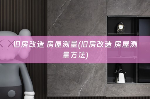 旧房改造 房屋测量(旧房改造 房屋测量方法)