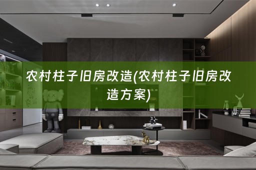 农村柱子旧房改造(农村柱子旧房改造方案)
