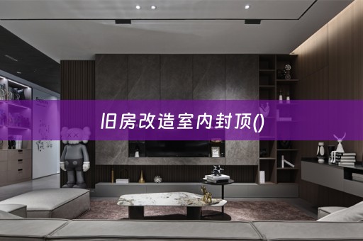 旧房改造室内封顶()