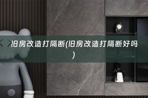 旧房改造打隔断(旧房改造打隔断好吗)