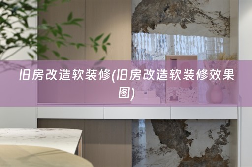 旧房改造修效果图)