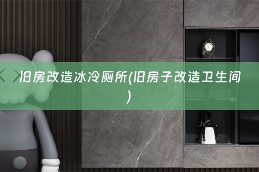 旧房改造冰冷厕所(旧房子改造卫生间)