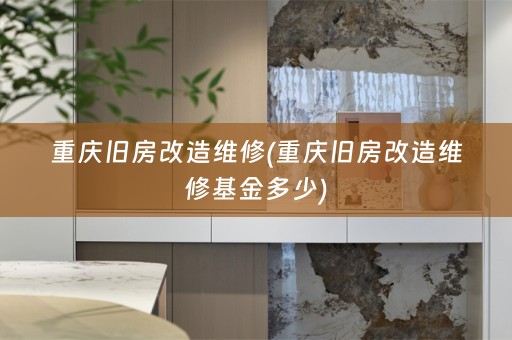 重庆旧房改造维修(重庆旧房改造维修基金多少)