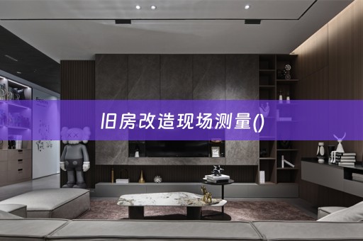 旧房改造现场测量()