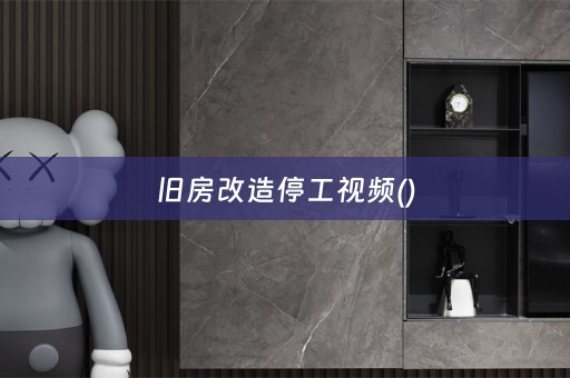 旧房改造停工视频()