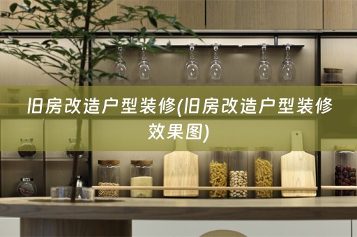 旧房改造户型装修(旧房改造户型装修效果图)