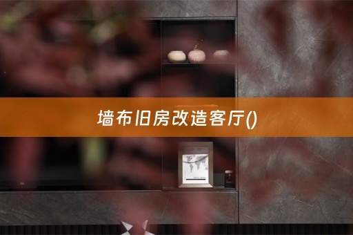 墙布旧房改造客厅()