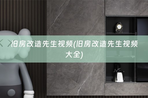 旧房改造先生视频(旧房改造先生视频大全)