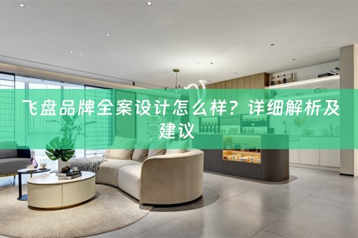 飞盘品牌全案设计怎么样？详细解析及建议 