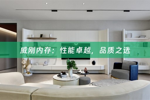 威刚内存：性能卓越，品质之选