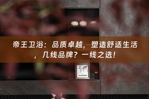 帝王卫浴：品质卓越，塑造舒适生活，几线品牌？一线之选！