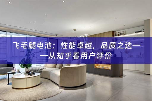 飞毛腿电池：性能卓越，品质之选——从知乎看用户评价