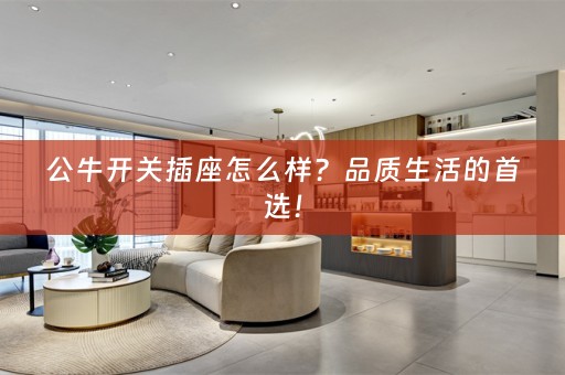公牛开关插座怎么样？品质生活的首选！