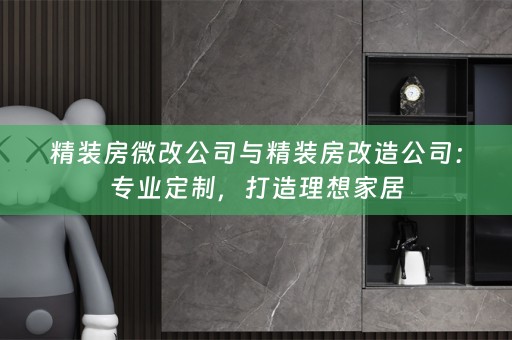 精装房微改公司与精装房改造公司：专业定制，打造理想家居