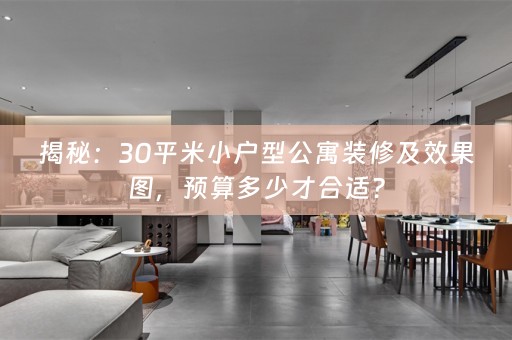 揭秘：30平米小户型公寓装修及效果图，预算多少才合适？