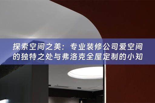 探索空间之美：专业装修公司爱空间的独特之处与弗洛克的小知识