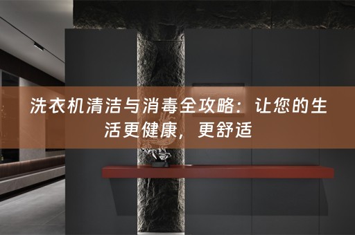 洗衣机清洁与消毒全攻略：让您的生活更健康，更舒适