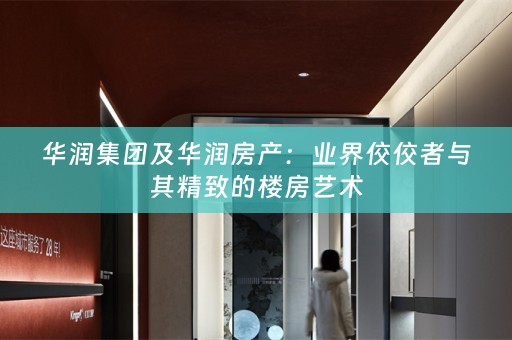 华润集团及华润房产：业界佼佼者与其精致的楼房艺术