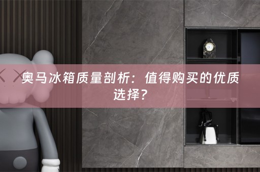 奥马冰箱质量剖析：值得购买的优质选择？