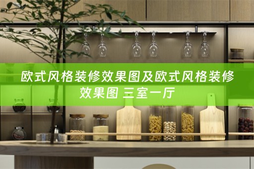 欧式风格装修效果图及欧式风格装修效果图 三室一厅