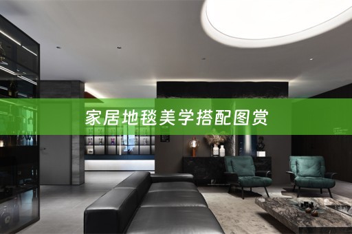 家居地毯美学搭配图赏