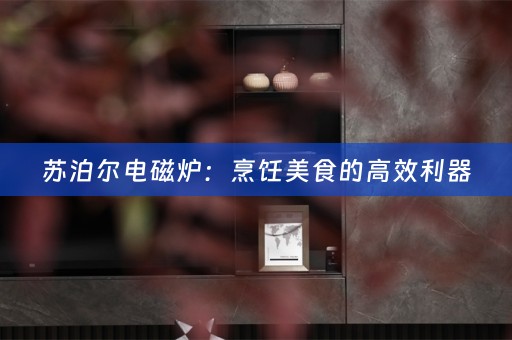 苏泊尔电磁炉：烹饪美食的高效利器